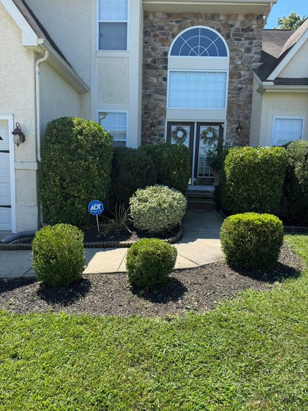 Landscaping 
