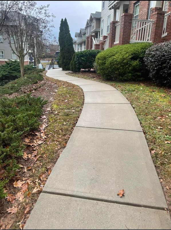 Concrete Cleaning