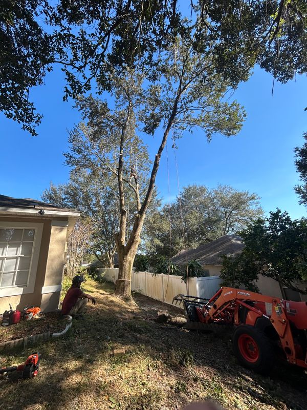 Land Clearing