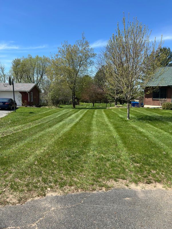 Lawn Maintenance