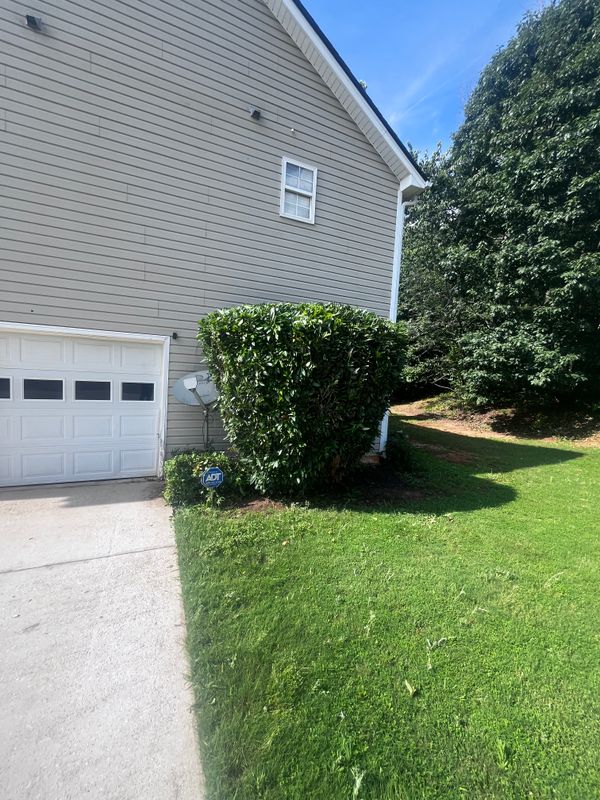 Tree & Shrub Care