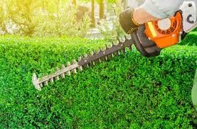 Landscape Maintenance