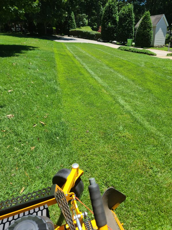 Lawn Maintenance