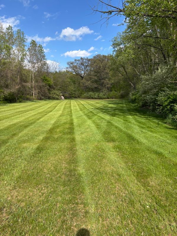 Lawn Maintenance