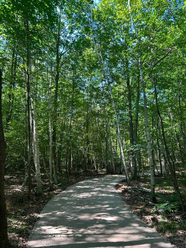 Gravel Driveway