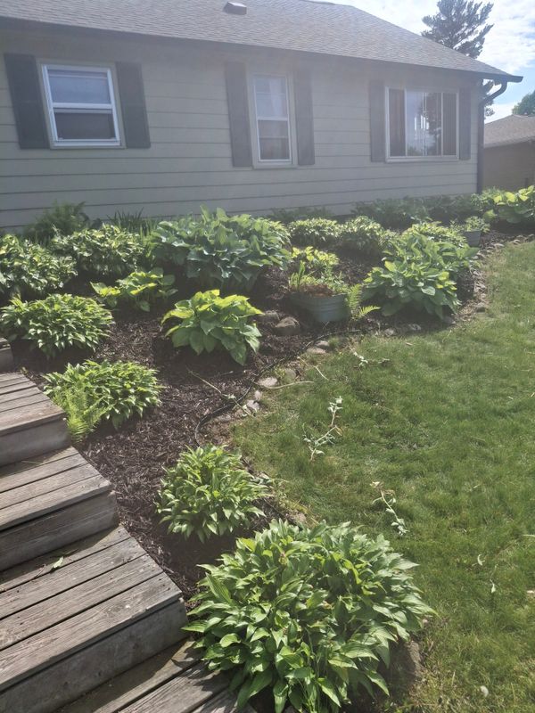 Landscape Design