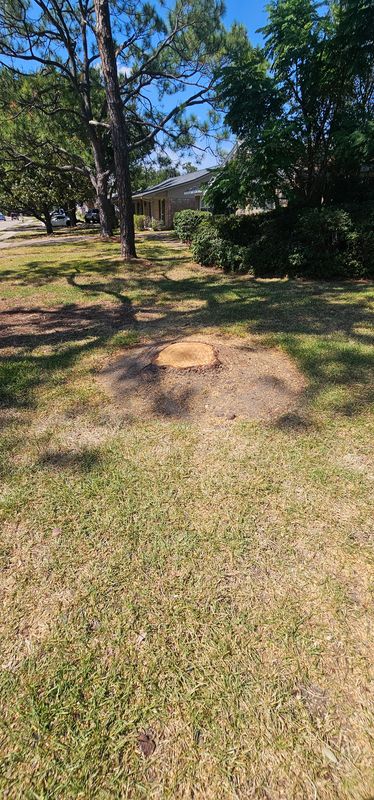 Stump Removal