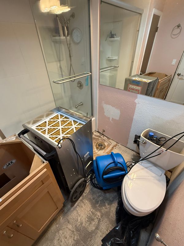 Mold Remediation