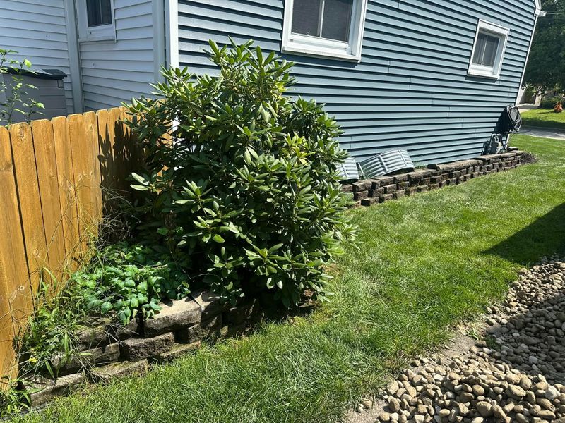 Shrub Trimming