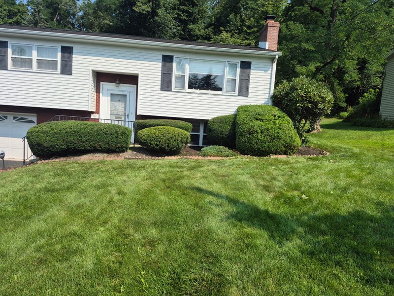 Tree & Shrub Care