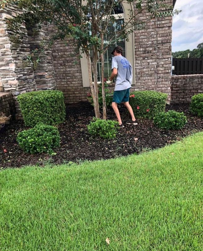 Shrub Care, Property Cleanup
