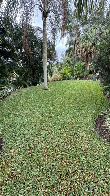 Sod Success: Transforming Boynton Beach Landscapes with South Florida Terra Systems