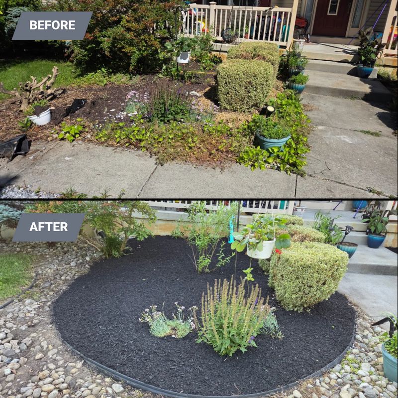 Lawn Care and Maintenance