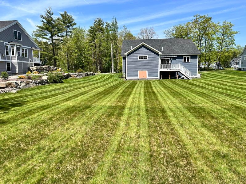 Lawn Maintenance