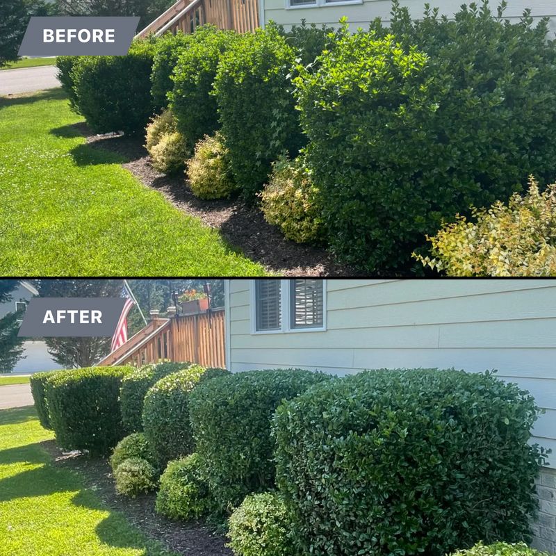 Before & After