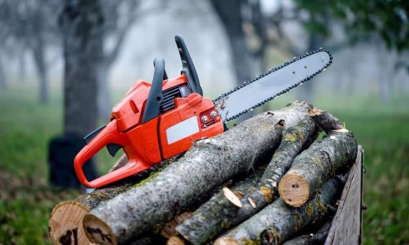 Tree Removal