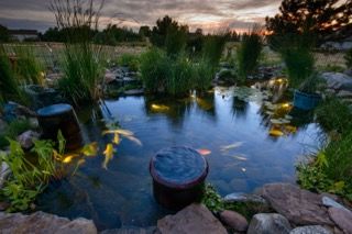 Pond Construction