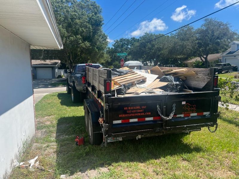 Junk Removal