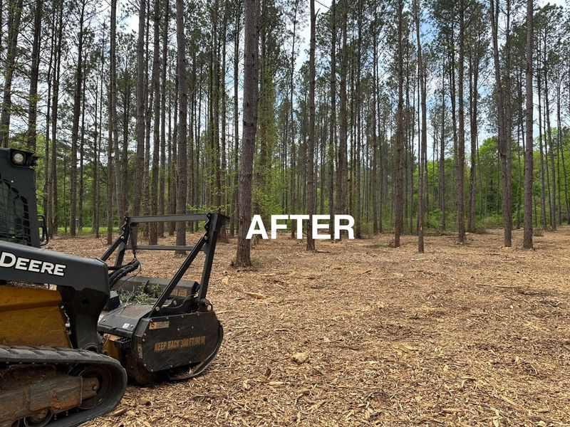 Forestry Mulching