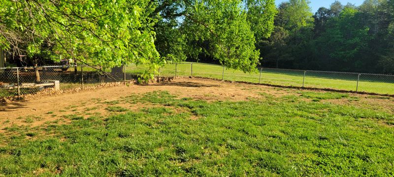 Stump Grinding and Removal