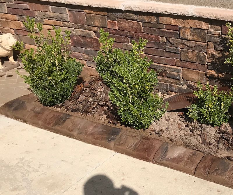 Custom Curbing gallery