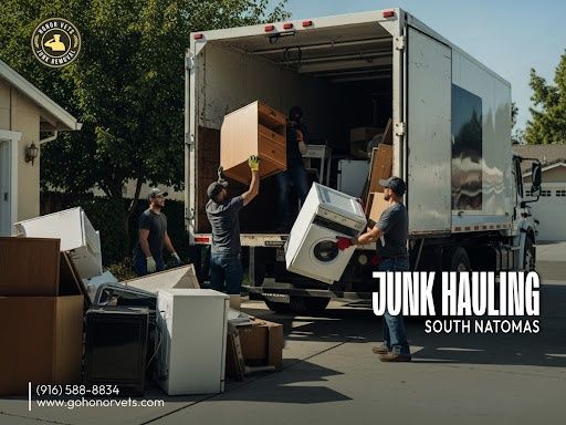 Junk Removal