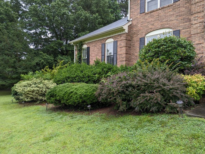 Shrub Trimming