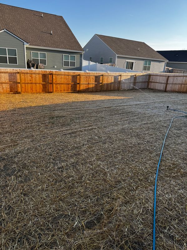 Lawn Seeding & Over-seeding
