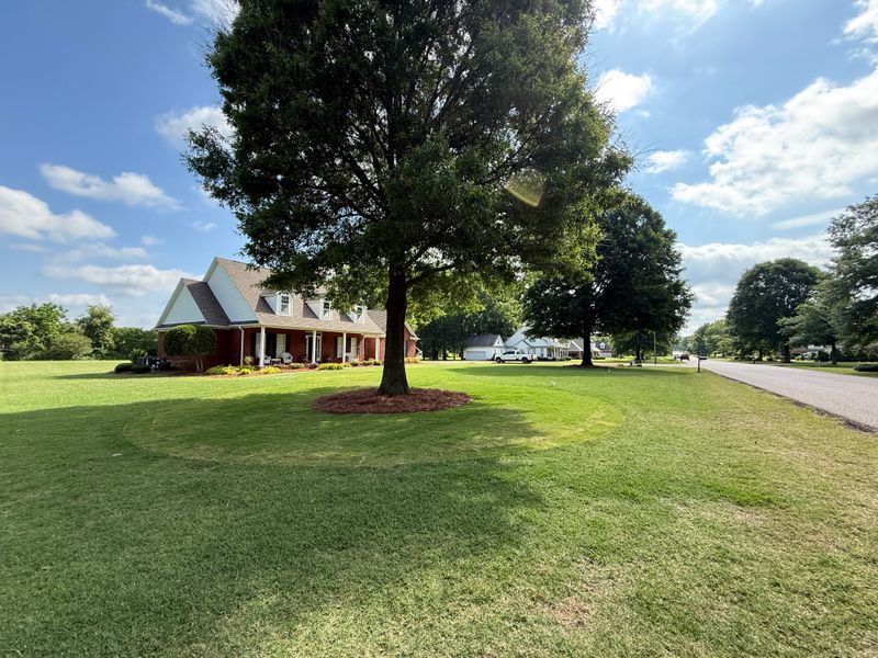 Lawn Maintenance