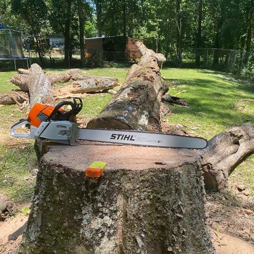 Tree Removal