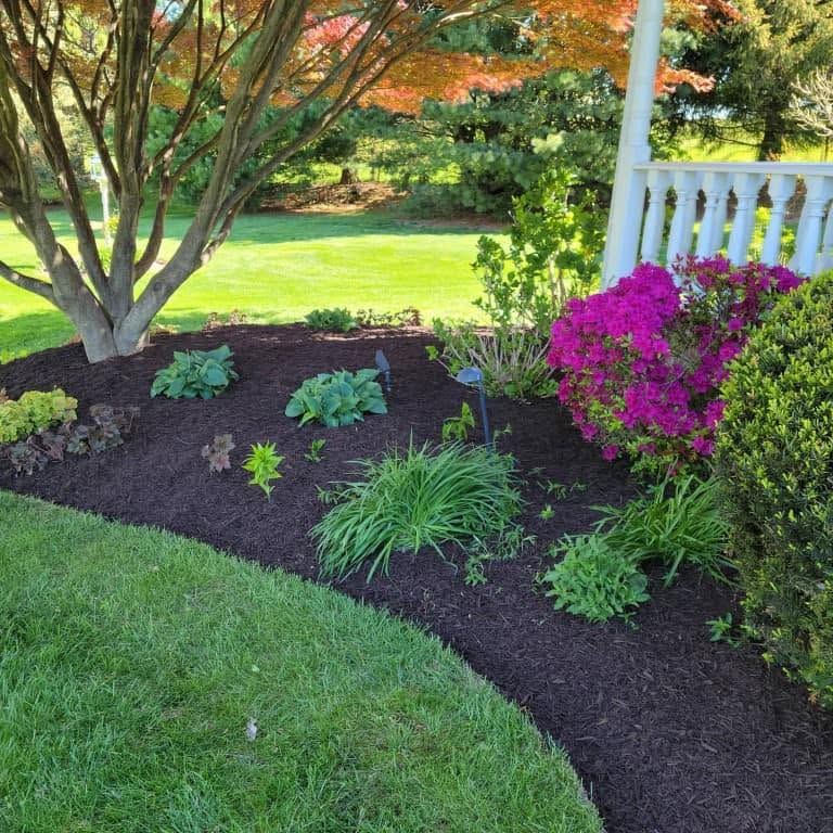 Landscape Design & Installation