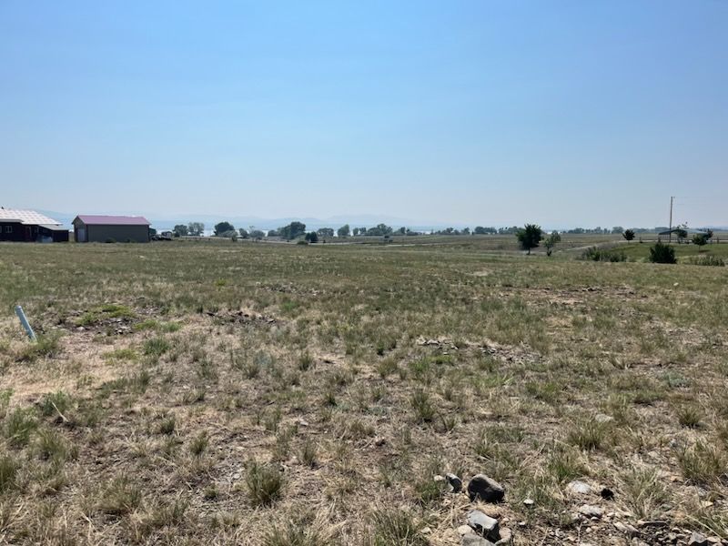 Field Mowing and Brush Hogging