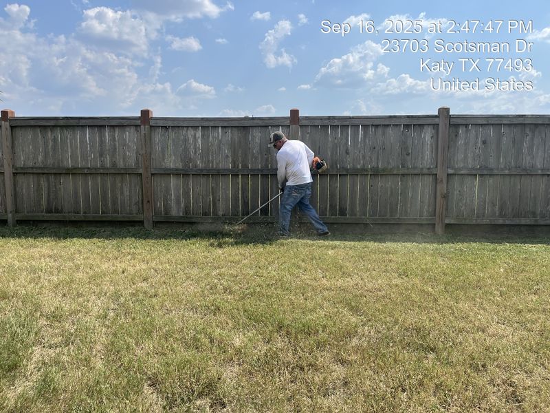 Lawn and Yard Maintenance