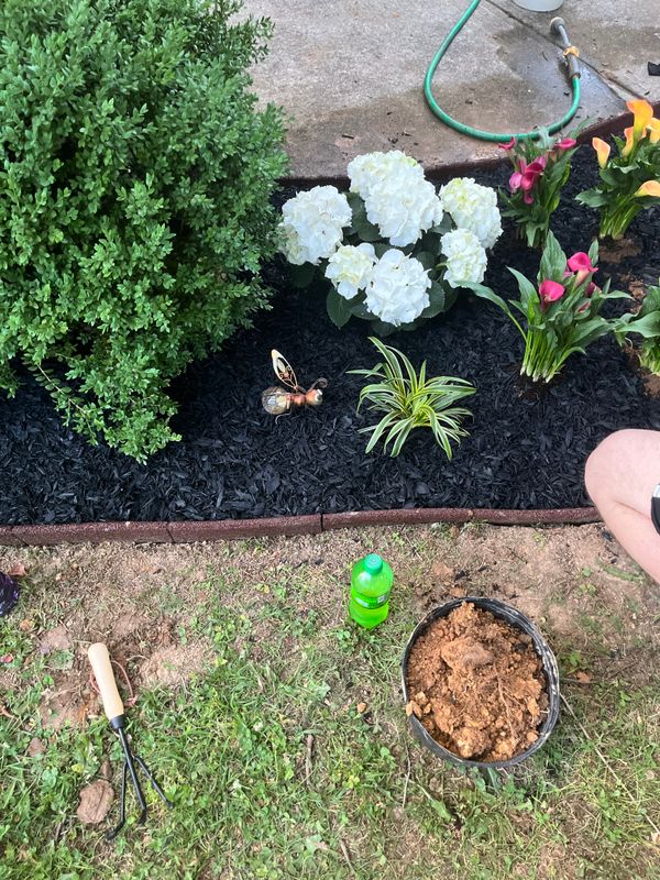 Flower Beds