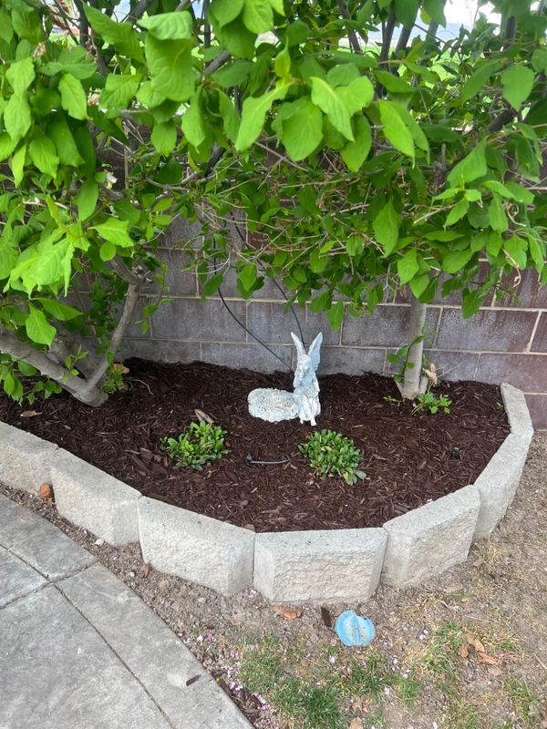 Mulch Installation