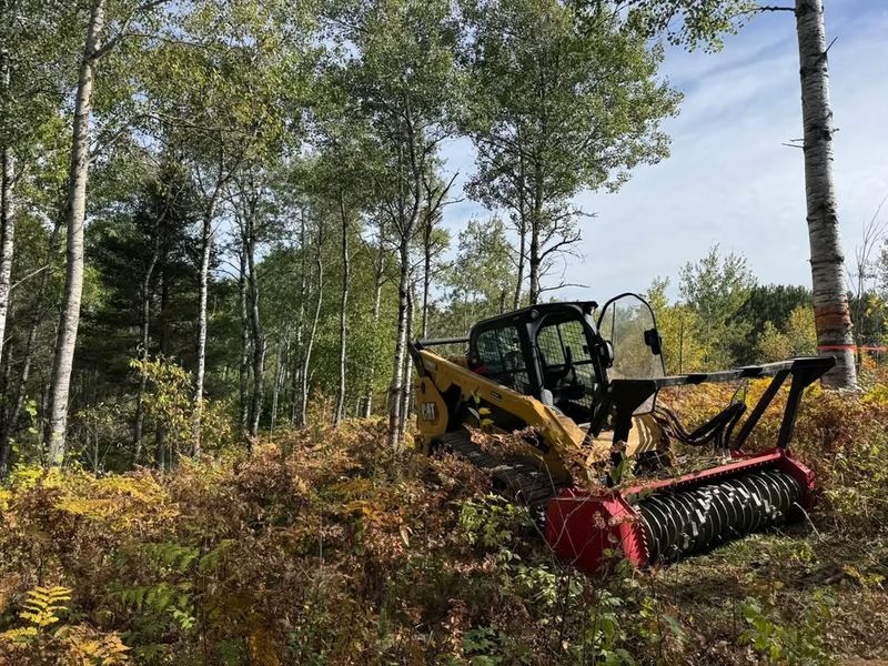Brush Clearing