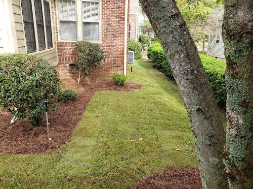 Sod Installation