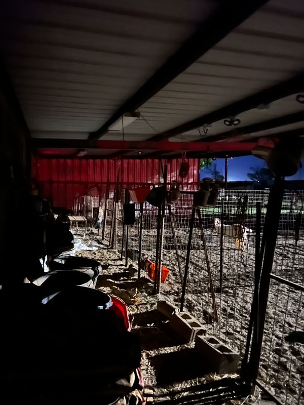 Lighting Installs