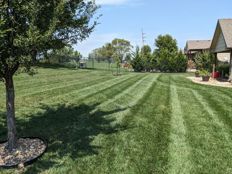Lawn Care