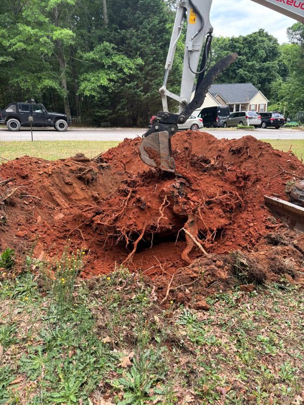 Stump Removal