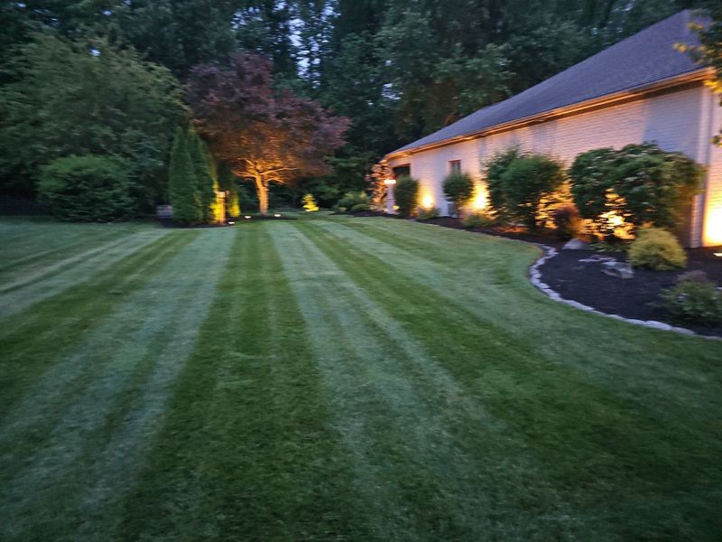 Lawn Maintenance