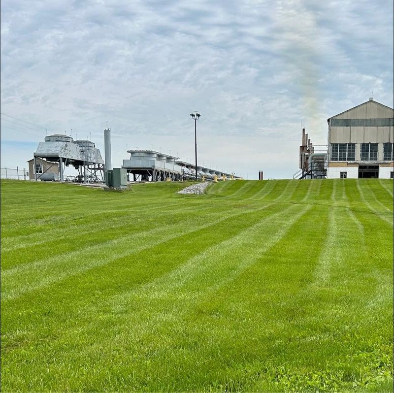Commercial Mowing