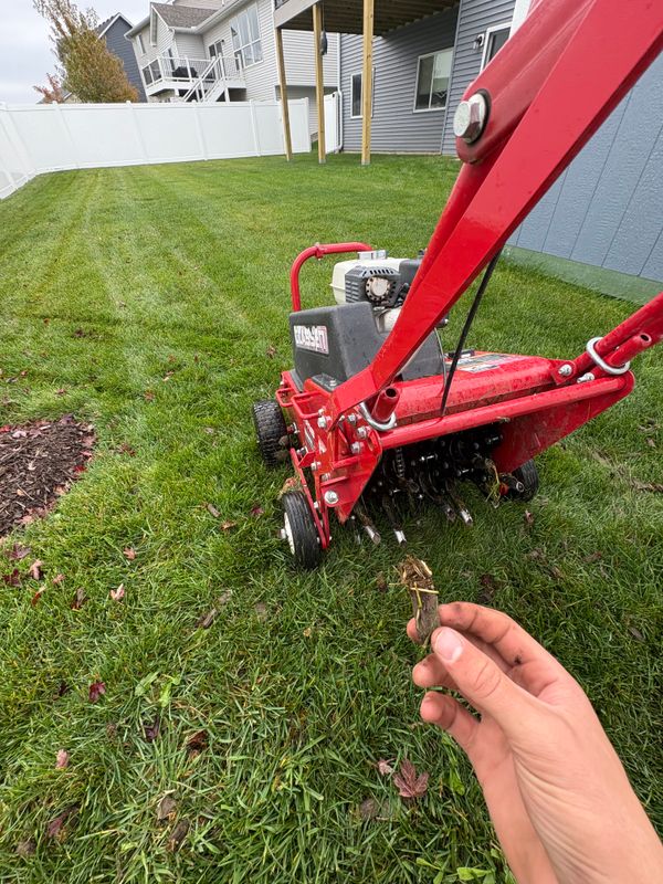 Sod Installation & Dirt Work