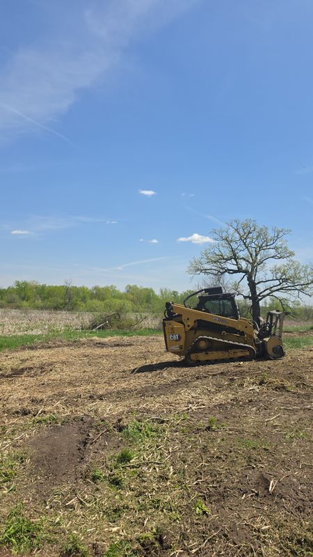 Forestry Mulching