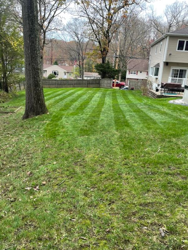 Lawn Maintenance