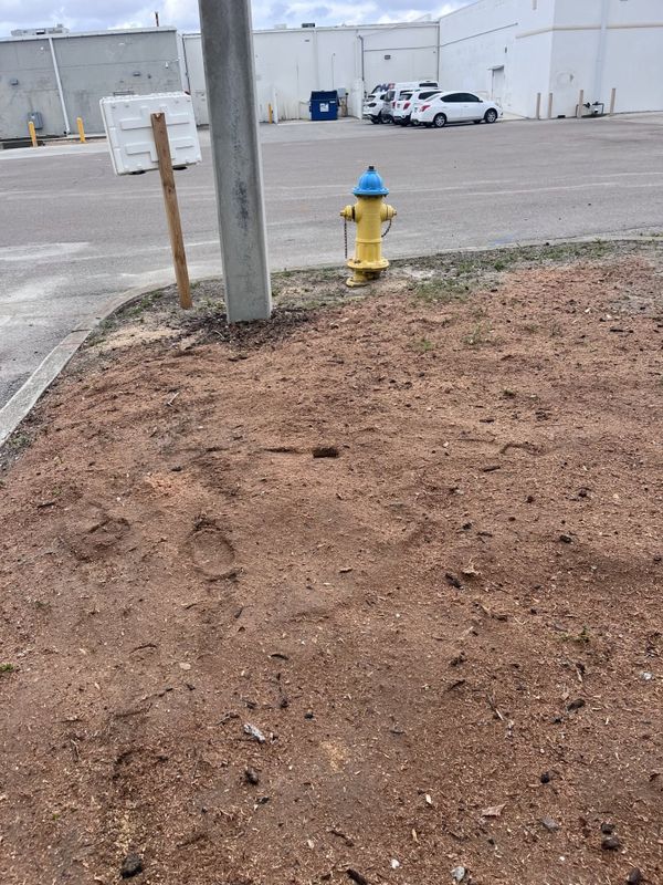 Land Clearing