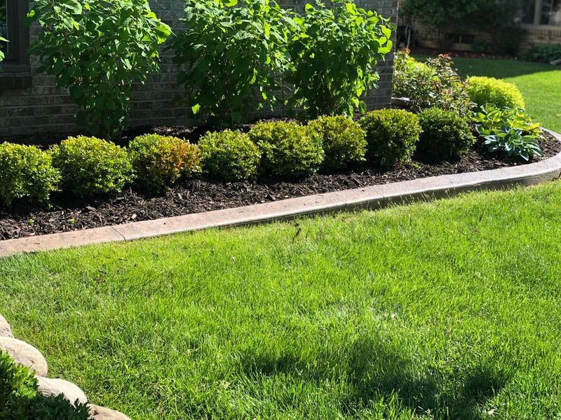 Shrub Trimming