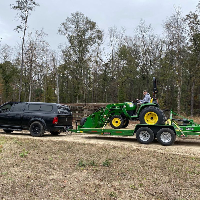 Tree Removal gallery