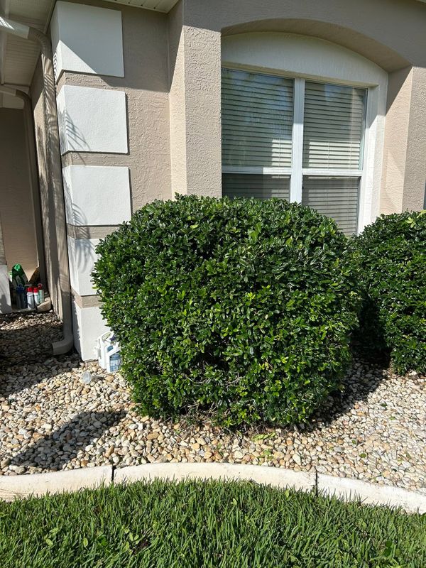 Garden Design and Installation
