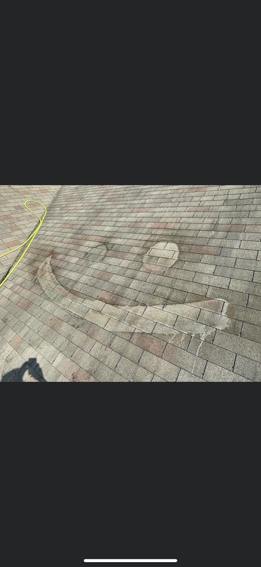 Roof Cleaning